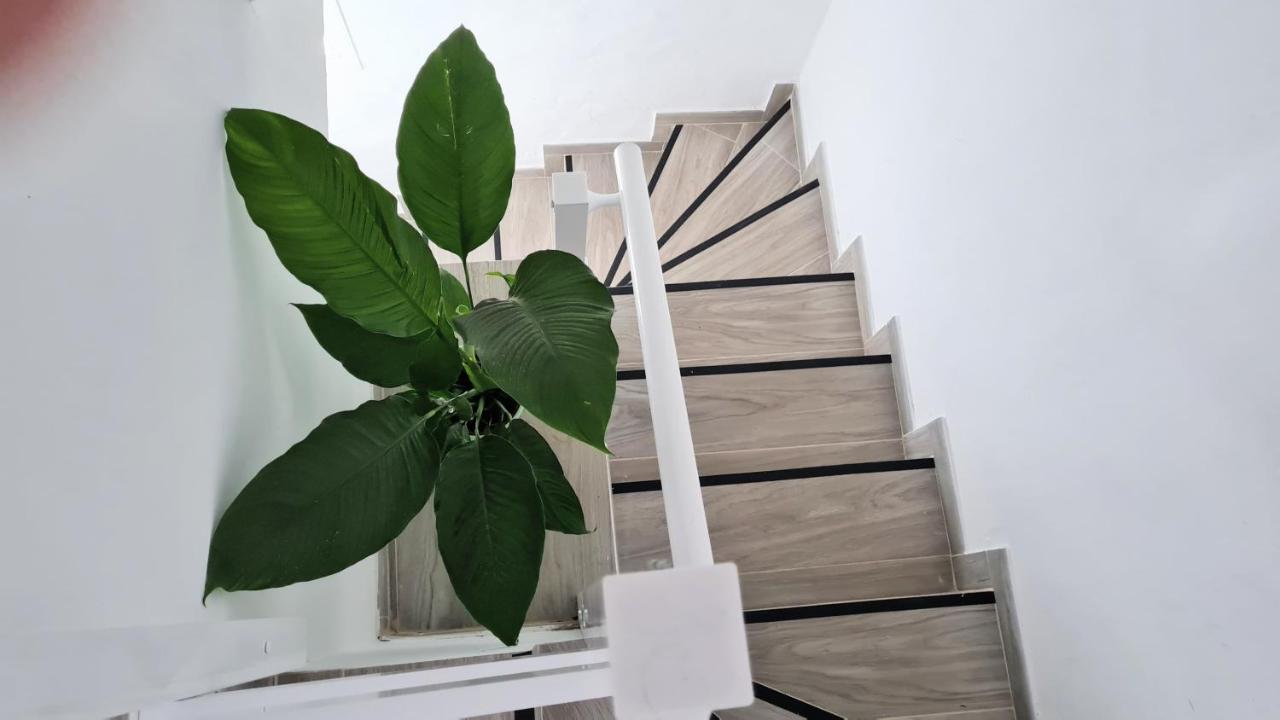 Apartamento Jameo Apartment Punta Mujeres Luaran gambar